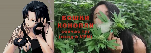 ГАЛЛЮЦИНОГЕННЫЕ ГРИБЫ Узловая