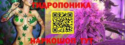 тгк Балаково