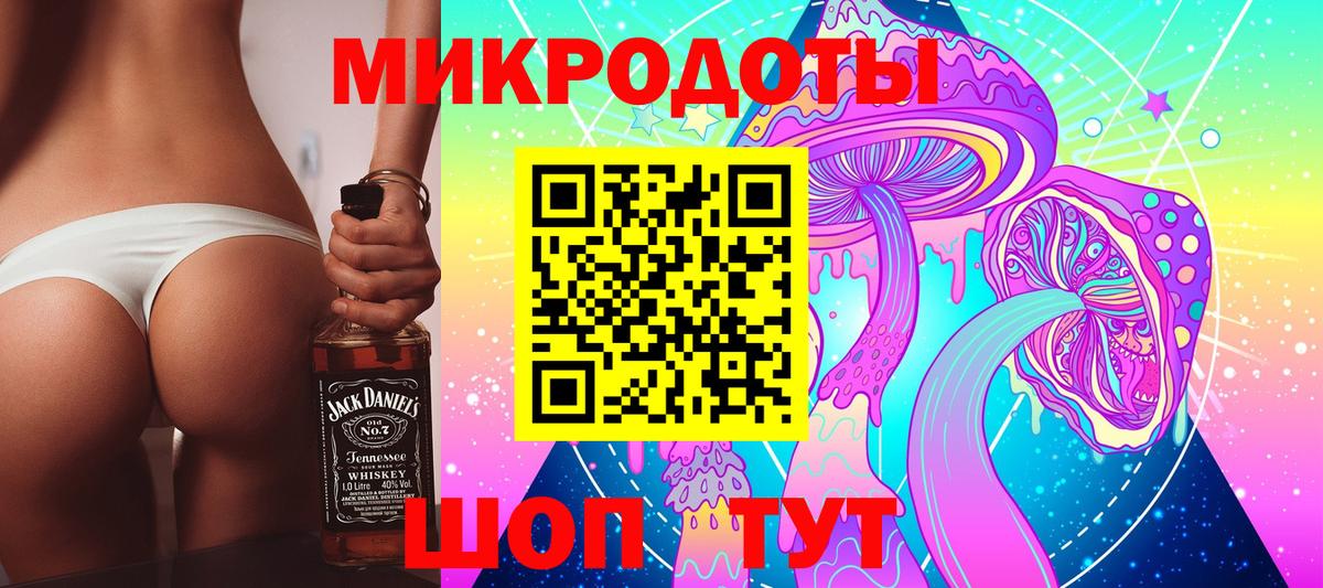 Галлюциногенные грибы Psilocybe Северодвинск