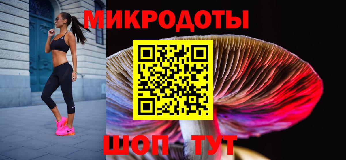 Псилоцибиновые грибы мухоморы  Северодвинск  Псилоцибиновые грибы Psilocybe 
