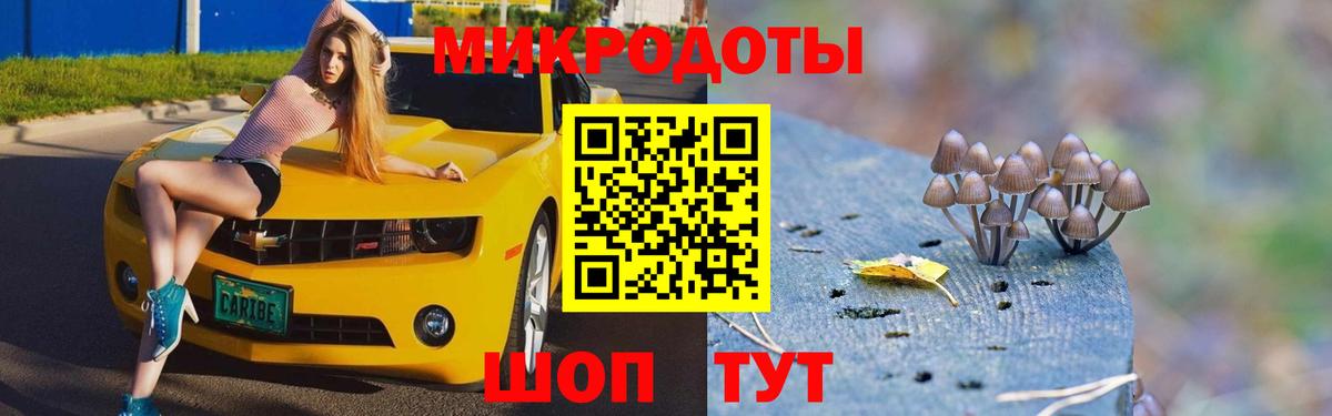 Псилоцибиновые грибы GOLDEN TEACHER Северодвинск